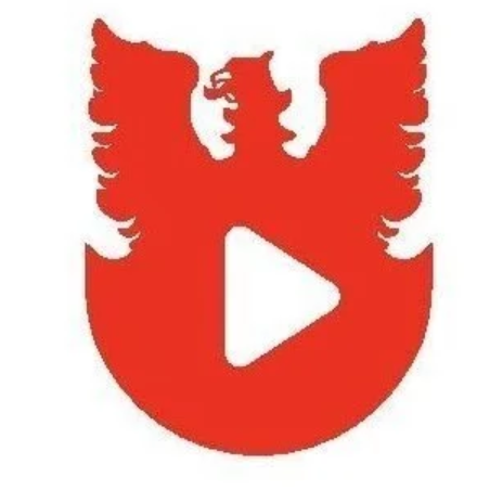 美中华人音乐家协会标志